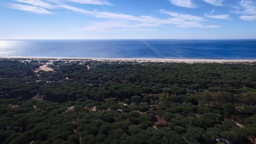הואלבה Camping Giralda מראה חיצוני תמונה